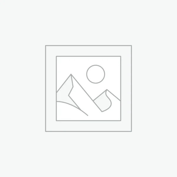 Aromatizante Little Trees - New Car Scent (1 Unidad)